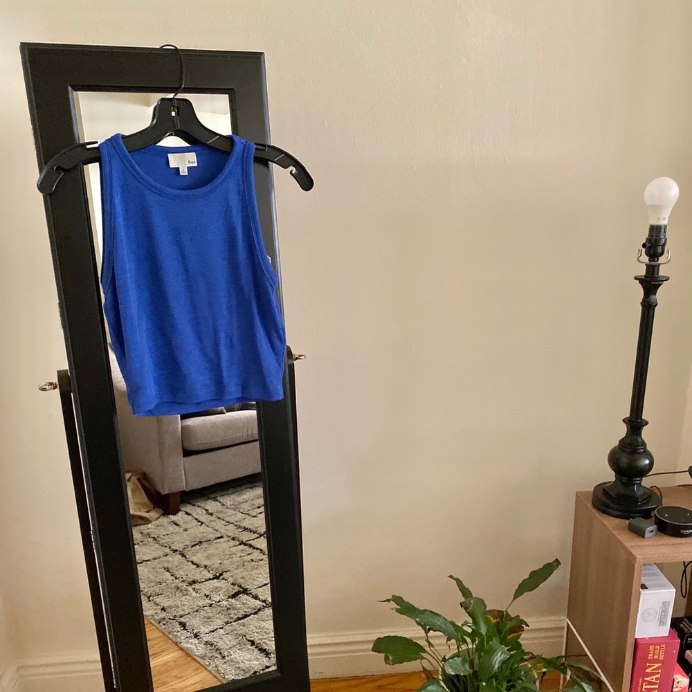 Blue Wilfred Aritzia crop top